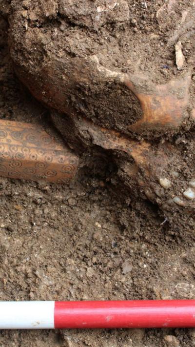a box lies next to a skull in open ground unearthed in an archaeological dig