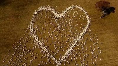 Heart made of sheep.