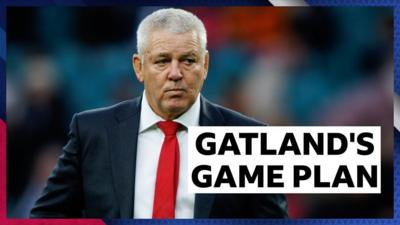 Wales head coach Warren Gatland