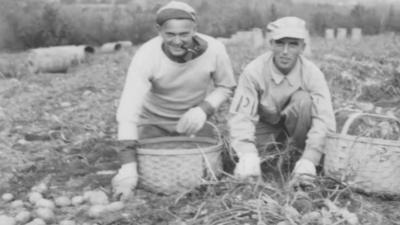 Potato archive courtesy US National Archives, Houlton Historical Society and Katherine Bell