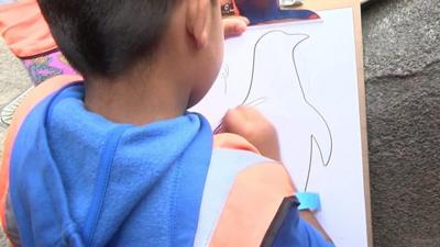 A child drawing a penguin