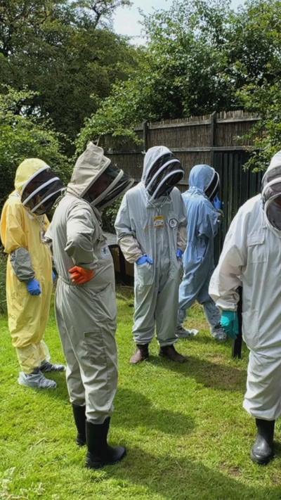 A group of people in beesuits standing on grass in front of a fence. 