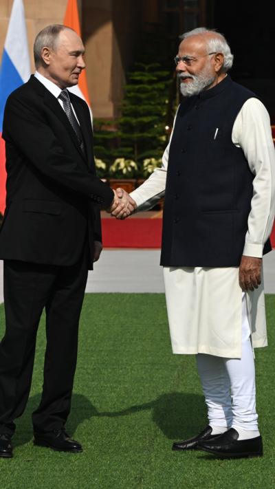 Putin and Modi shake hands on a lawn in front of their respective country's flag