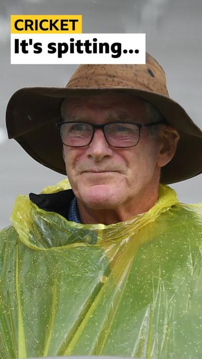 Cricket fan
