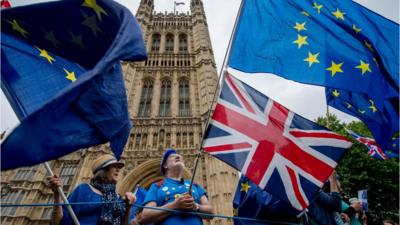 Pro-EU campaigners in Westminster