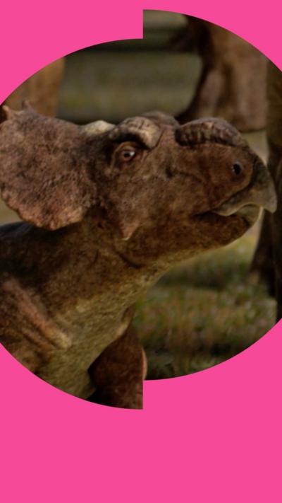 Young Pachyrhinosaurus looks up at its mother
