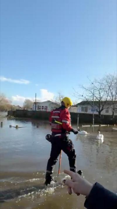 Flood rescue person with a big stick in water.