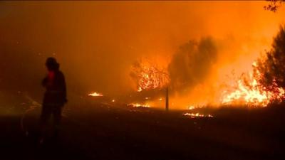 Firefighter stands near forest fire.