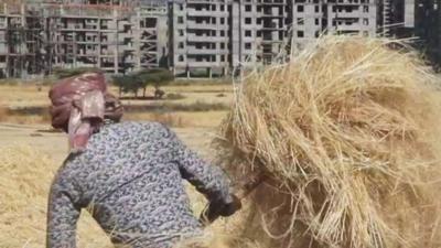 A farmer near a housing development in Addis Ababa