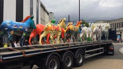 Zebra parade in Southampton