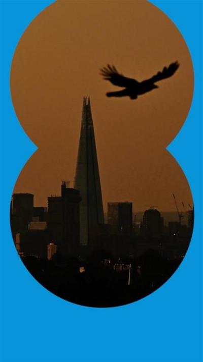 The London skyline at sunset, with a bird flying past, during a high air pollution alert in 2023