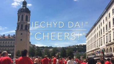 Wales fans in Lyon