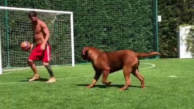 Lionel Messi and his dog