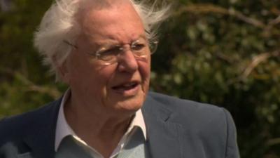 Sir David Attenborough