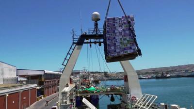 Fish being craned out of a trawler-hold in South Africa