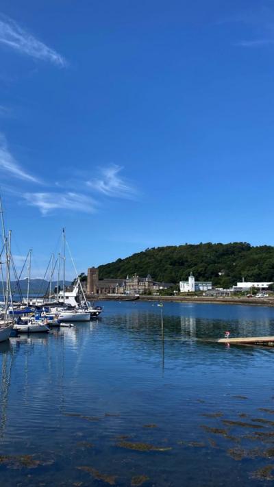 A sunny harbour in Scotland