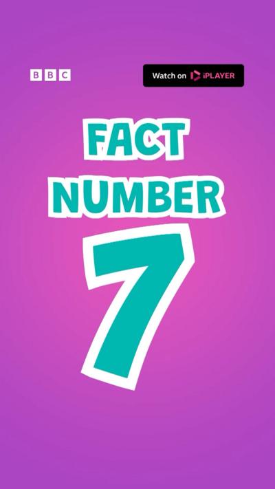 Fact Number 7