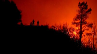 Madeira wildfires