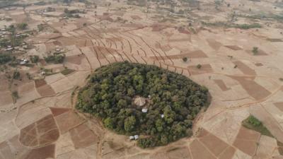 Church surrounded by forest