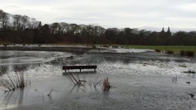 Flooded field