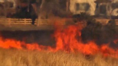 A wildfire burns quickly across grass