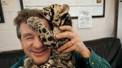 After a photo shoot at the Columbus Zoo in Ohio, a clouded leopard cub climbs on Sartore's head.