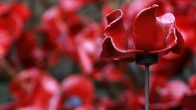 Poppies in Liverpool