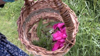 Foraged food