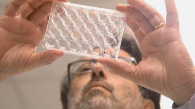 Scientist holding a container while doing research on Zika