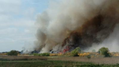 Southwold gorse fire