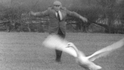 Farmer John Stafford chasing off a swan.