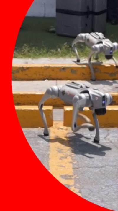 Grey dog-like robots stepping off a yellow kerb.