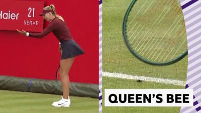 Katie Boulter