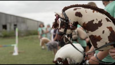 hobby horses lined up.