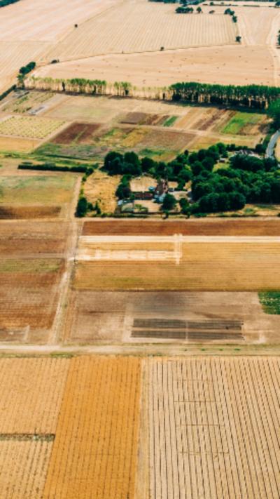 Dry fields as seen from above