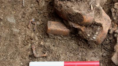 a box lies next to a skull in open ground unearthed in an archaeological dig