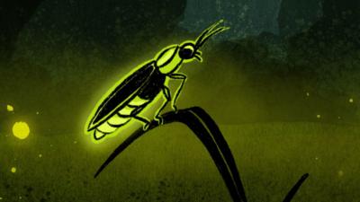 Illustartion of a glowing firefly 