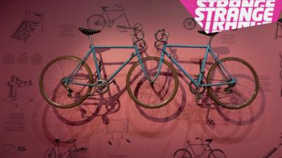 Two bikes hanging on a wall