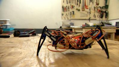 Spider robot