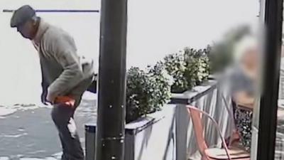 CCTV shows moment purse was stolen