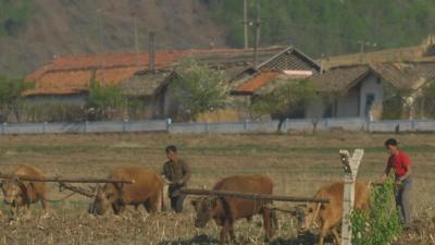 Farmers in a field on the China-North Korea border