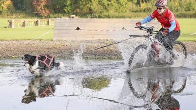 It's the start of the bikejoring season, so we met the people who use their dogs to race bikes.