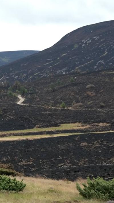 The charred hillside of the Cairngorms 