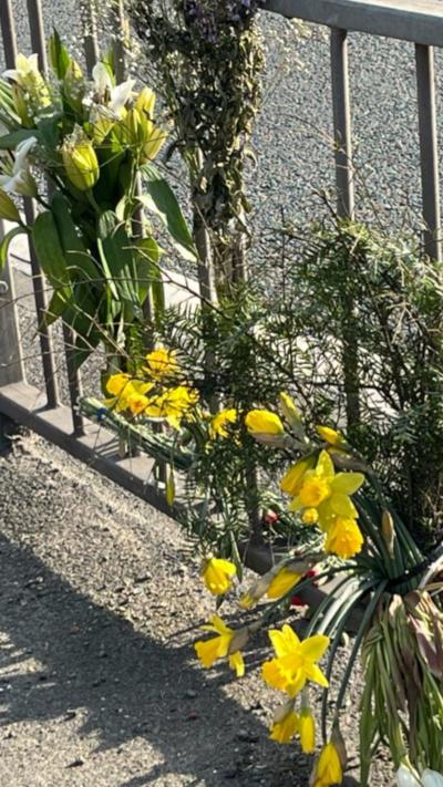Flowers attached to road furniture