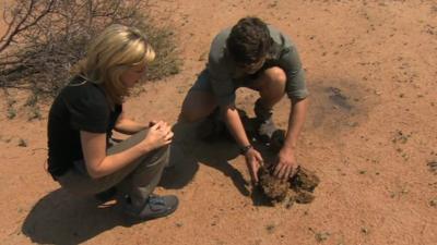 Jenny finds out more about... poo