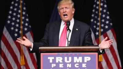 Republican presidential candidate Donald Trump speaks to a crowd of supporters on 27 July 2016 in Scranton, Pennsylvania.