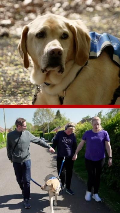 Support dog with family