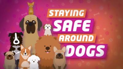 Staying safe around dogs graphic.