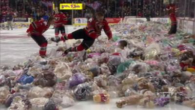 Annual Teddy Bear toss raises money