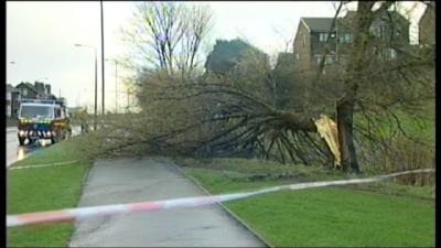 A tree fallen across a path, which is cordoned off. A fire engine is parked on the left of the image